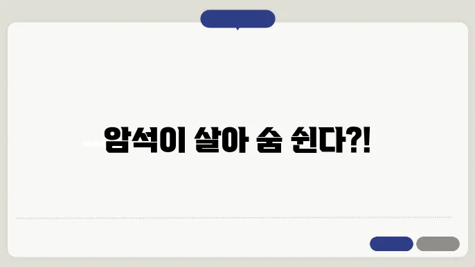 암석의 풍화와 침식 과정