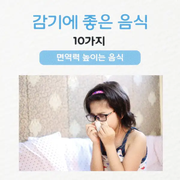 감기에 좋은 음식