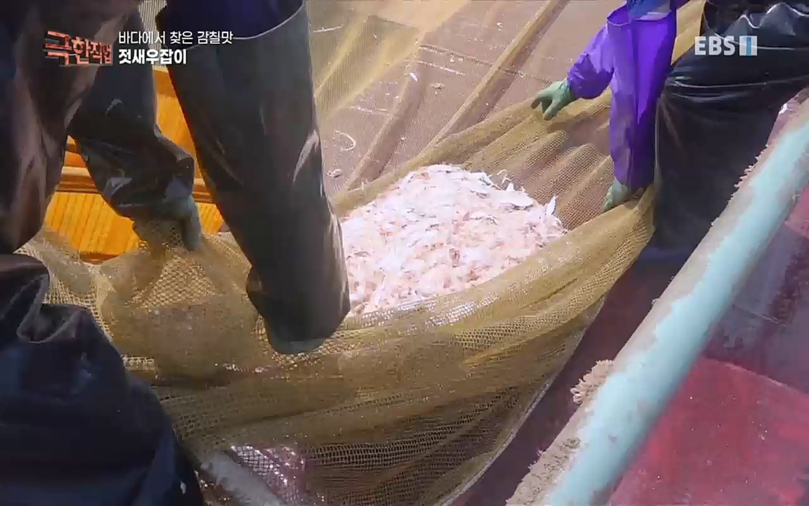 TV - 교육의 중심 EBS바다에서 찾은 감칠맛 새우젓과 다시마.mp4_20220717_175002.888.jpg