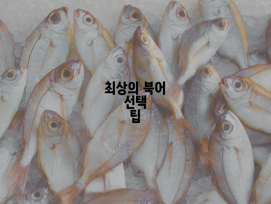 최상의 북어 선택 팁