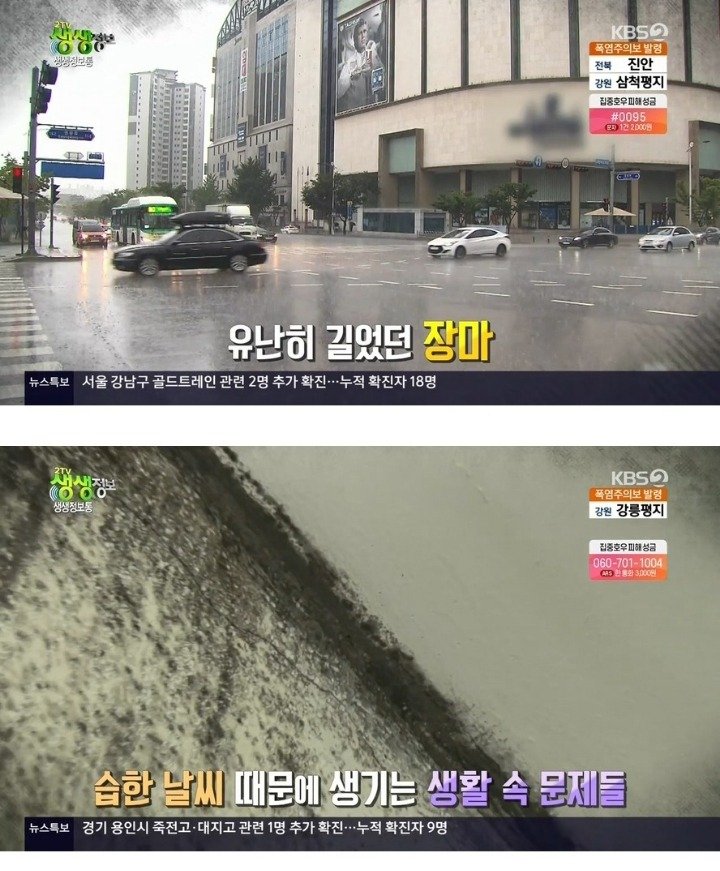  [스압] 집에 생긴 곰팡이 해결 방법
