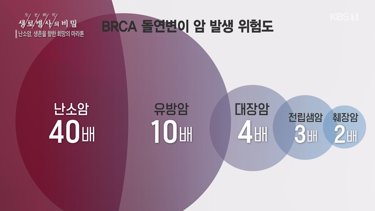 생로병사의 비밀.E878.230803p-NEXT.mp4_20230805_155639.234.jpg