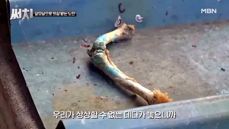 써치 8년간 천여마리 죽인 대전 신탄진 고양이 살해남의 정체