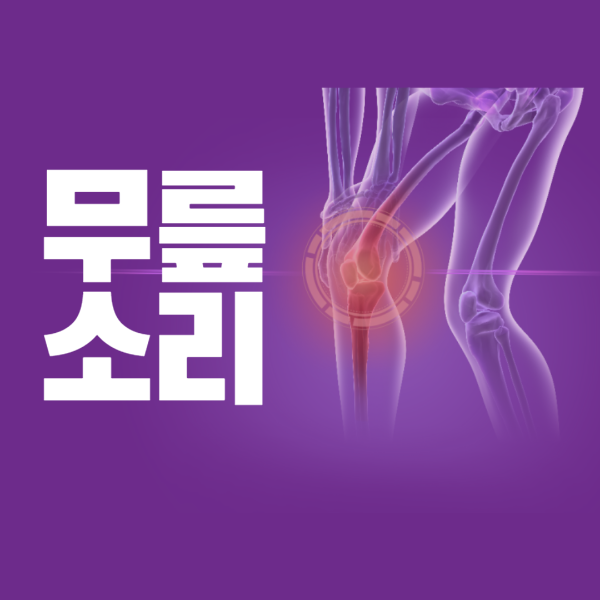 무릎에서 뚝 소리나는