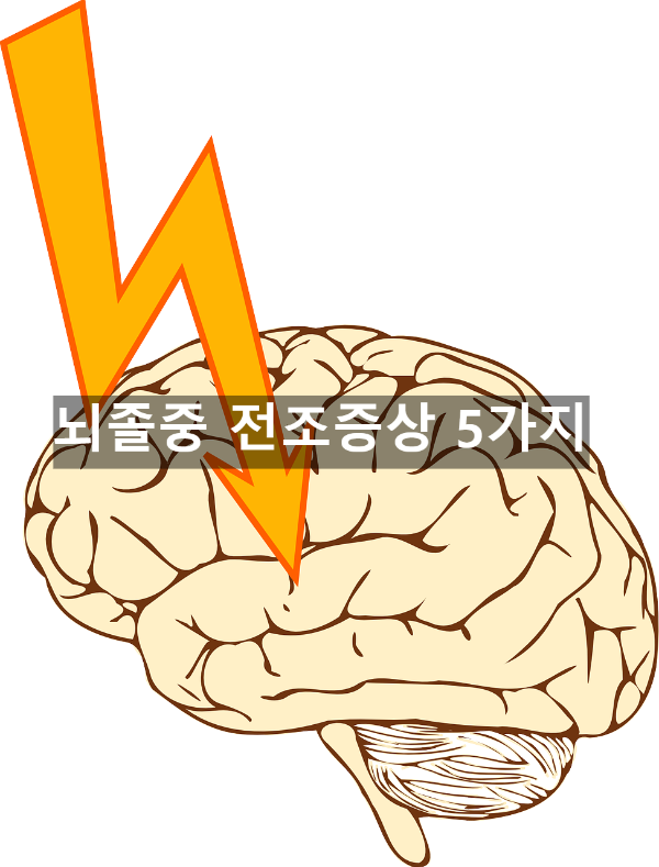  뇌졸중 전조증상 5가지