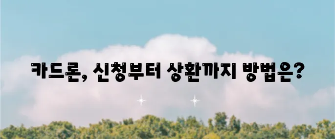국민은행 카드론, 신청에서 상환까지 철저히 알아봅시다!