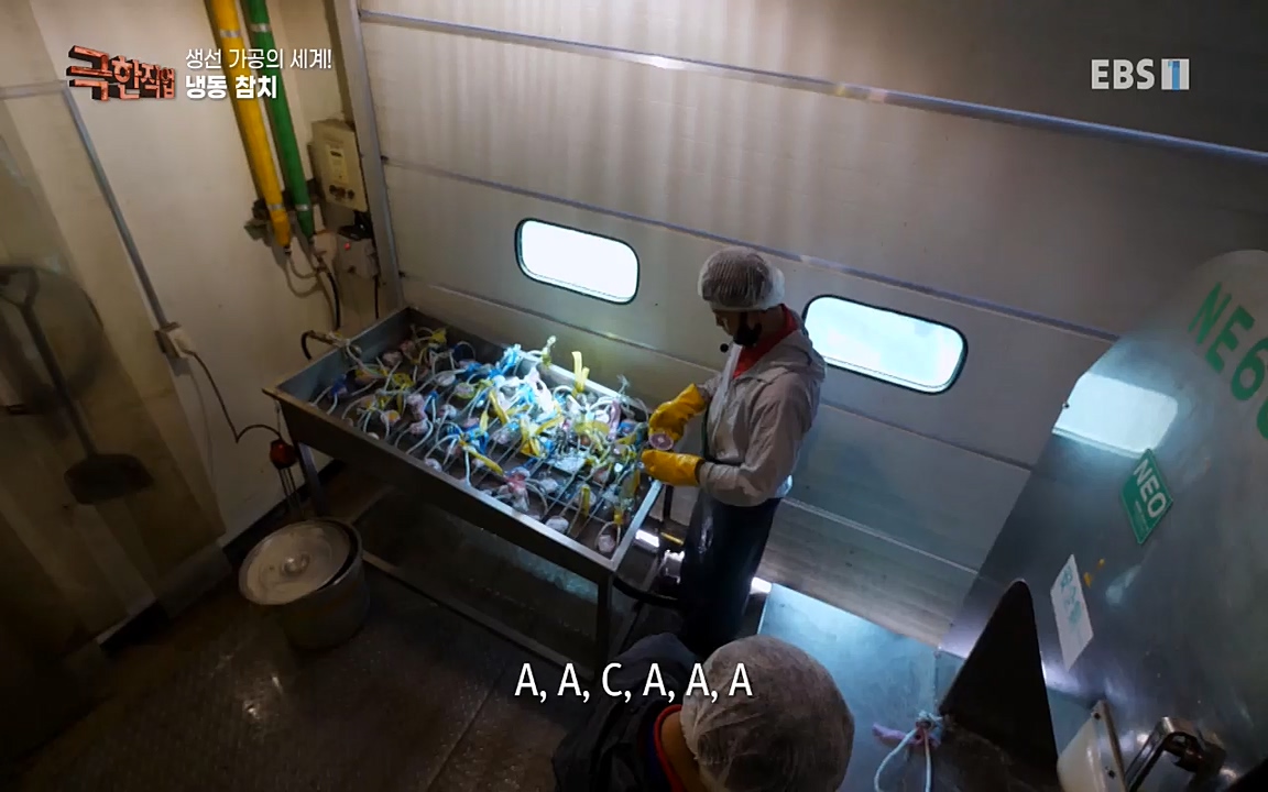 TV - 교육의 중심 EBS생선가공의 세계!-냉동참치, 참치액. 순살생선-.mp4_20220906_201933.495.jpg