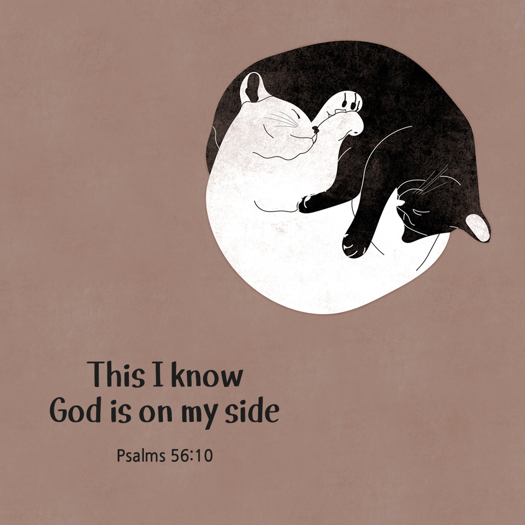This I know. God is on my side. (Psalms 56:10)