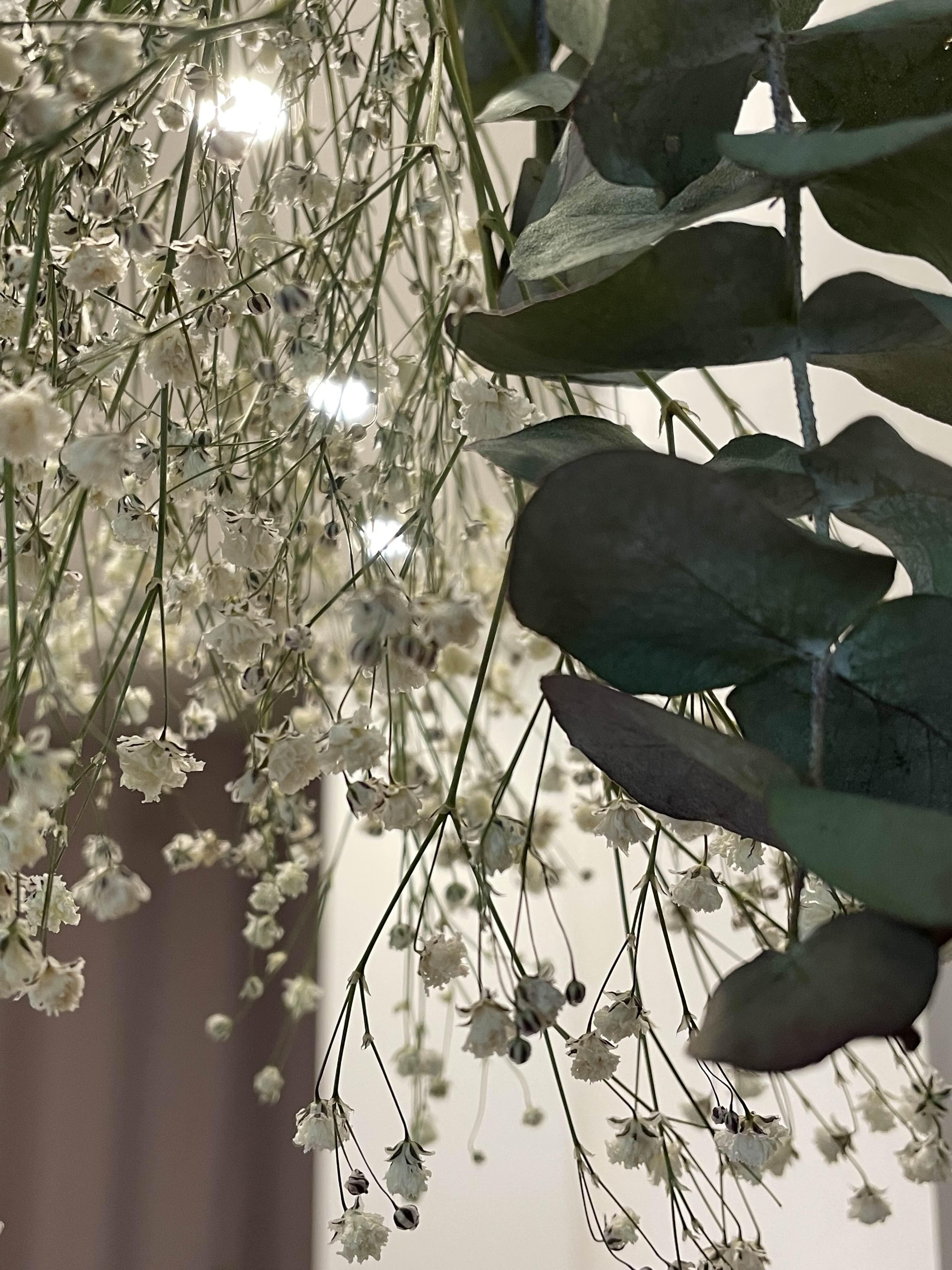 벽에-걸린-안개꽃과-유칼립투스-사진