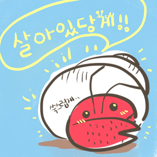  [소라게] 살아남은 근황