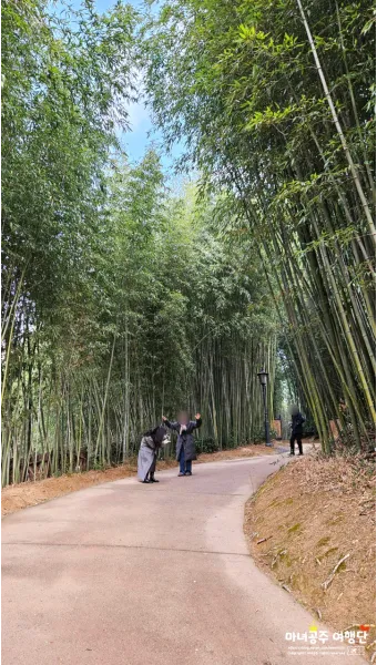 담양 가볼만한곳 베스트 10 여행지 추천_12