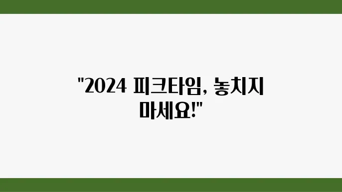 티켓팅 가능한 2024 피크타임 페스티벌, 어디서 예매할까?