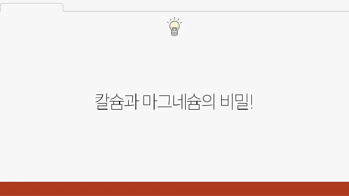 마그네슘과 칼슘의 조화로운 관리 방법