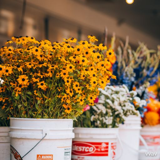 flower basket