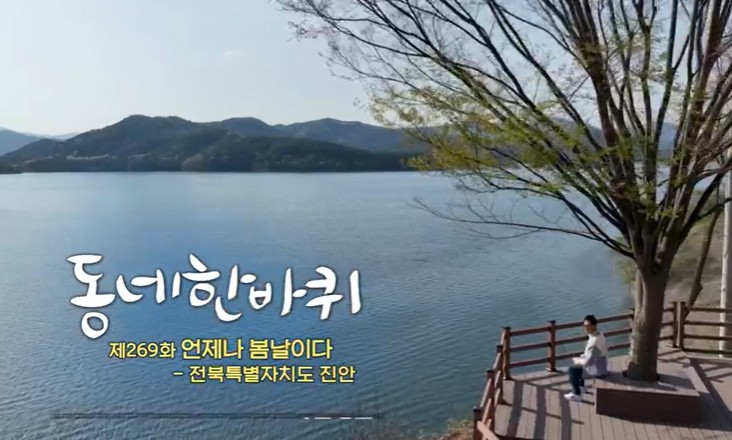 진안