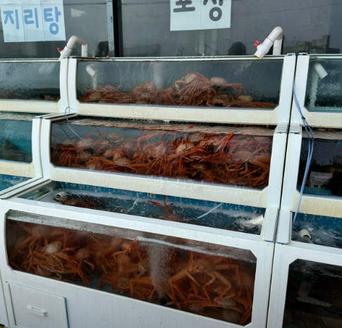 백반기행 삼척 생선구이 한상 맛집(생선구이+물회+덮밥)