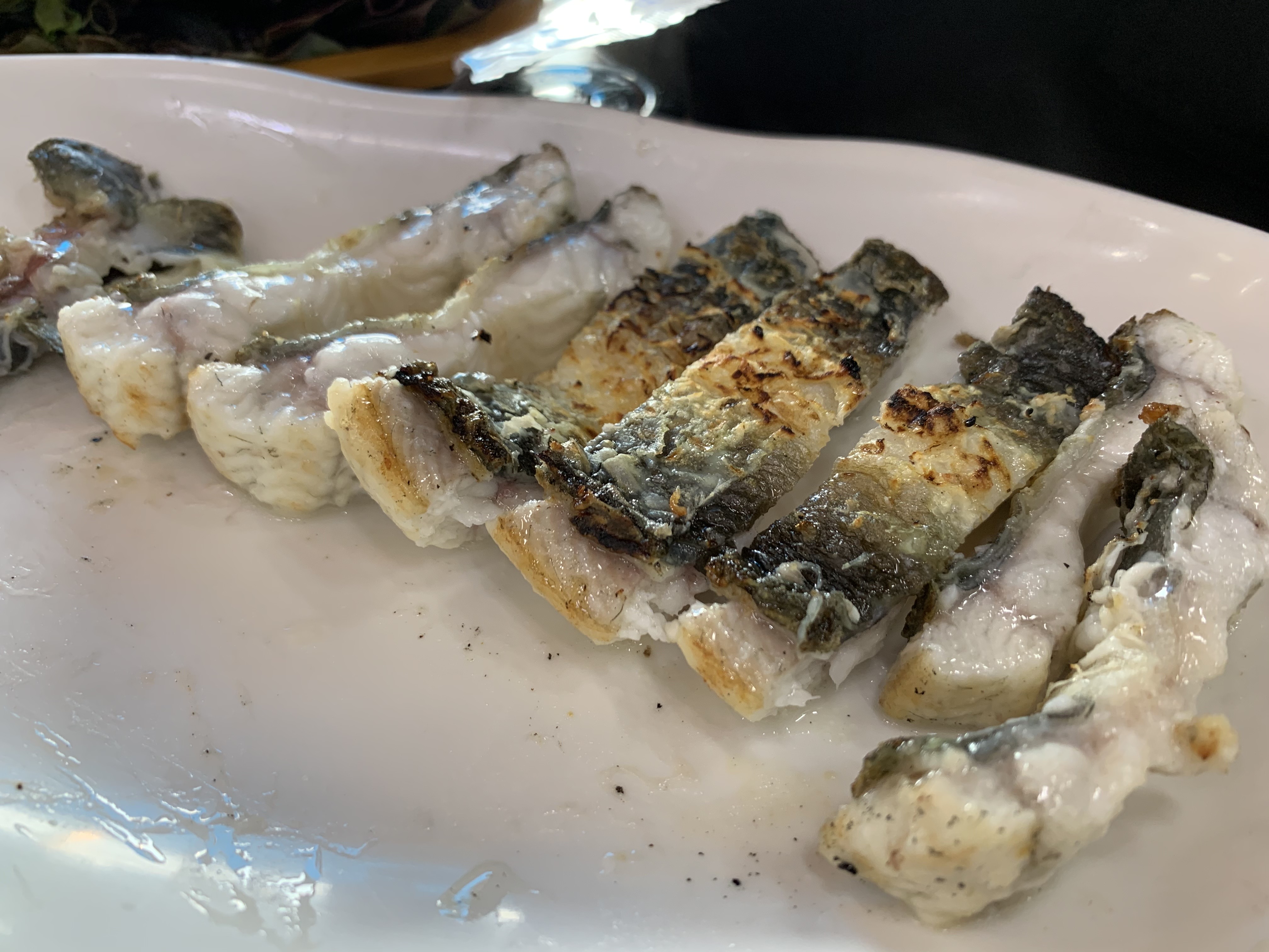  꿈틀대는 장어대전!! 광명 장어 전통 맛집!! [풍천한방장어] 리뷰