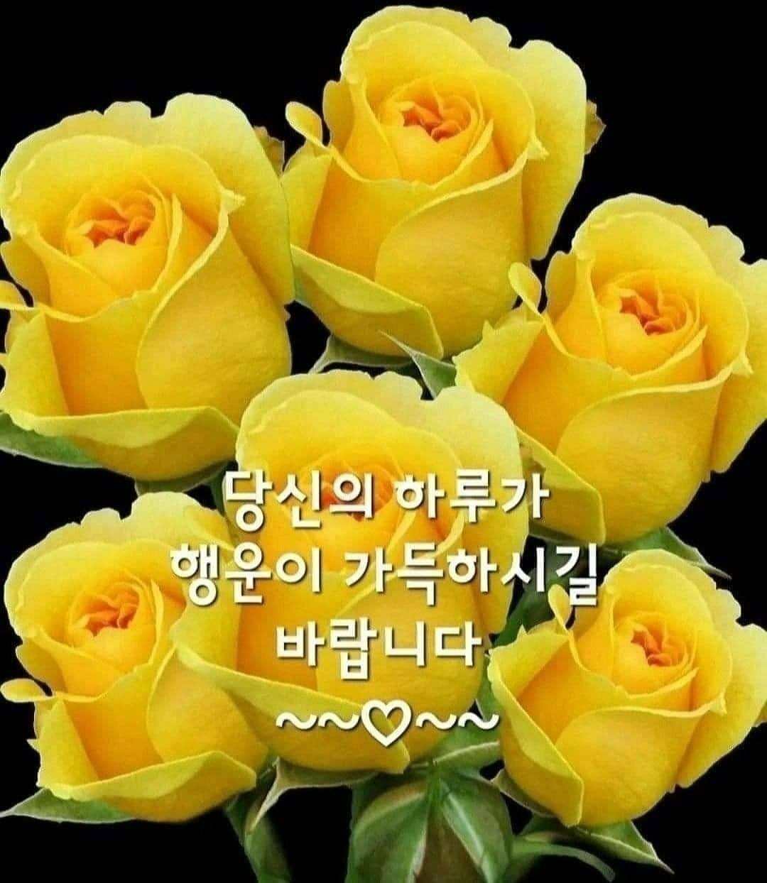  오늘의 좋은글 299번째 요즘 많이 하는 동기부여 자기계발에 대해 이야기해 보고자 합니다