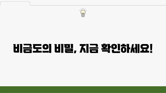 븈금도 배시간표 가볼만한 곳