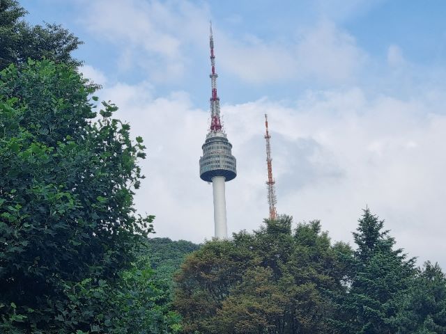 멀리서 올려다본 남산타워의 사진이다.