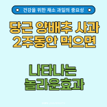  당근 양배추 사과 2주동안 먹으면? '건강을 위한 채소 과일 중요성'