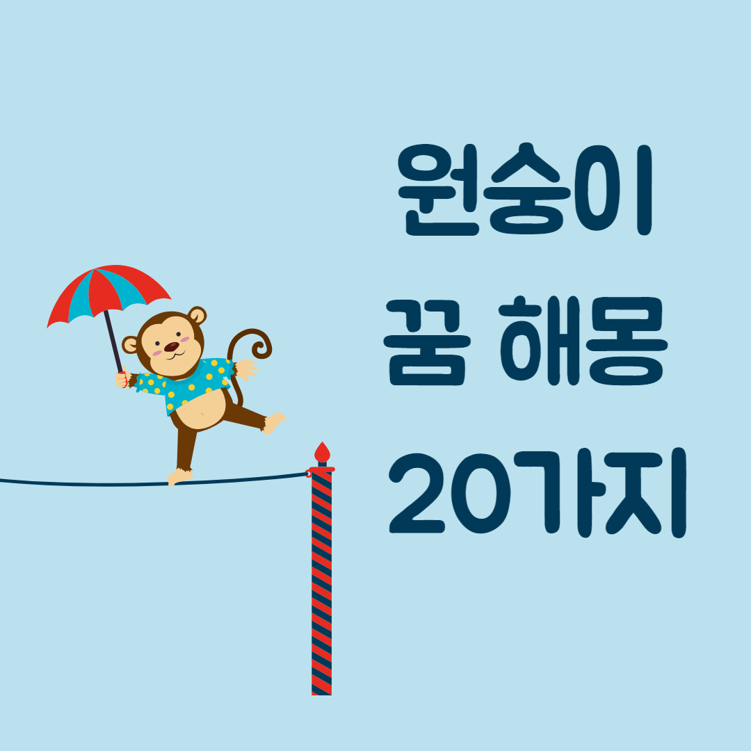 원숭이 꿈 해몽 20가지 길몽 흉몽은?