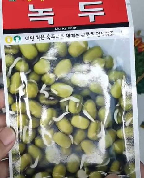 녹두 &ndash; 발아력 좋고 재배도 간단