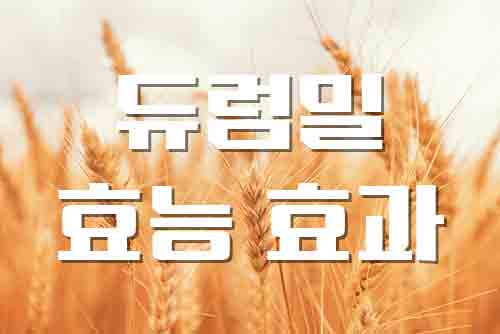  듀럼밀, 복합탄수화물 듀럼밀 영양과 효능 정리