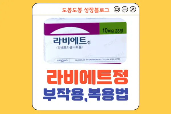 라비에트정 안내 이미지