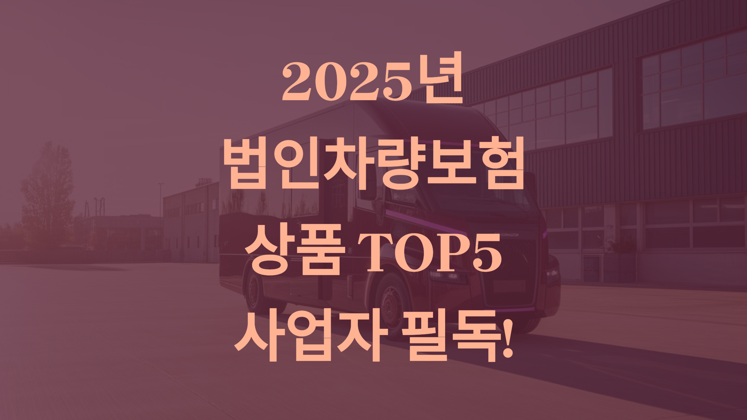 2025 법인차량보험 TOP5