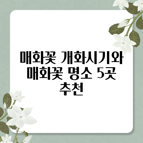 매화꽃 개화시기와 매화꽃 명소 5곳 추천