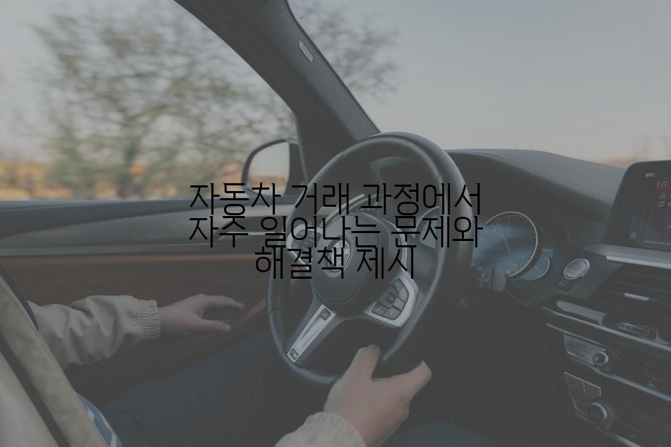 자동차 거래 과정에서 자주 일어나는 문제와 해결책 제시