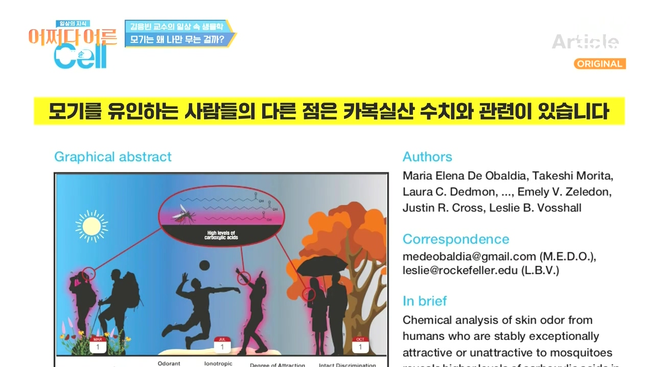 어쩌다 어른.E51.240410p-NEXT.mp4_20240410_173714.681.jpg