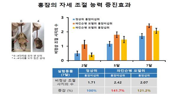 홍잠 효능 및 효과, 간염,알츠하이머,파킨슨