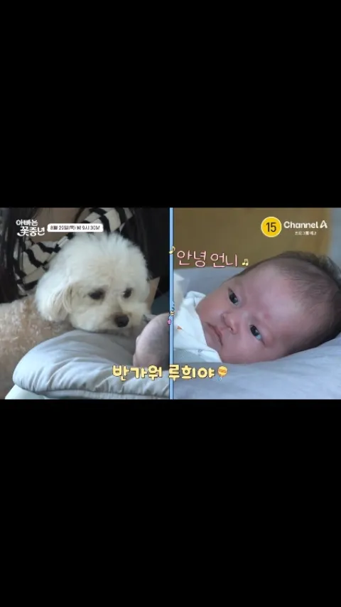 이지훈_인스타그램_이미지