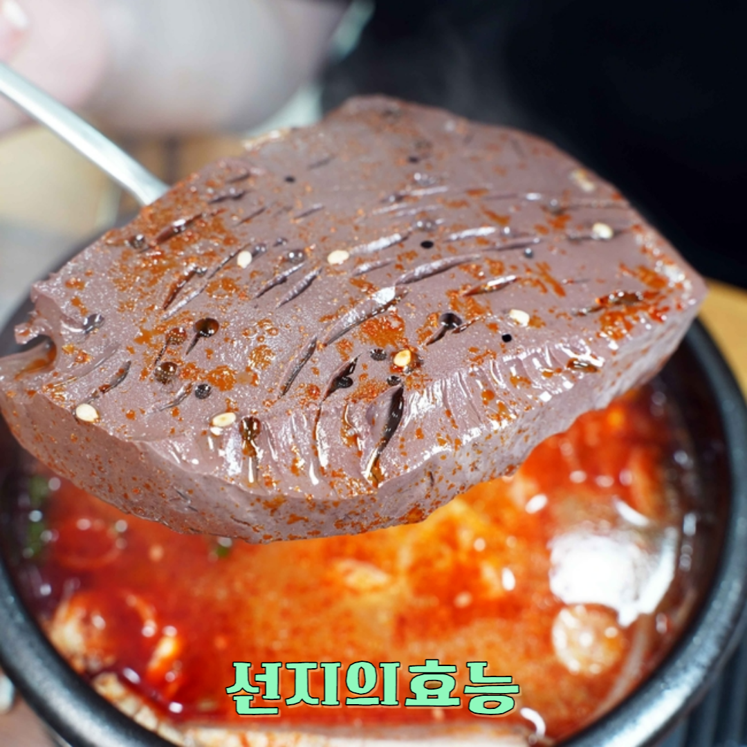 선지 효능 성분 먹는법 부작용