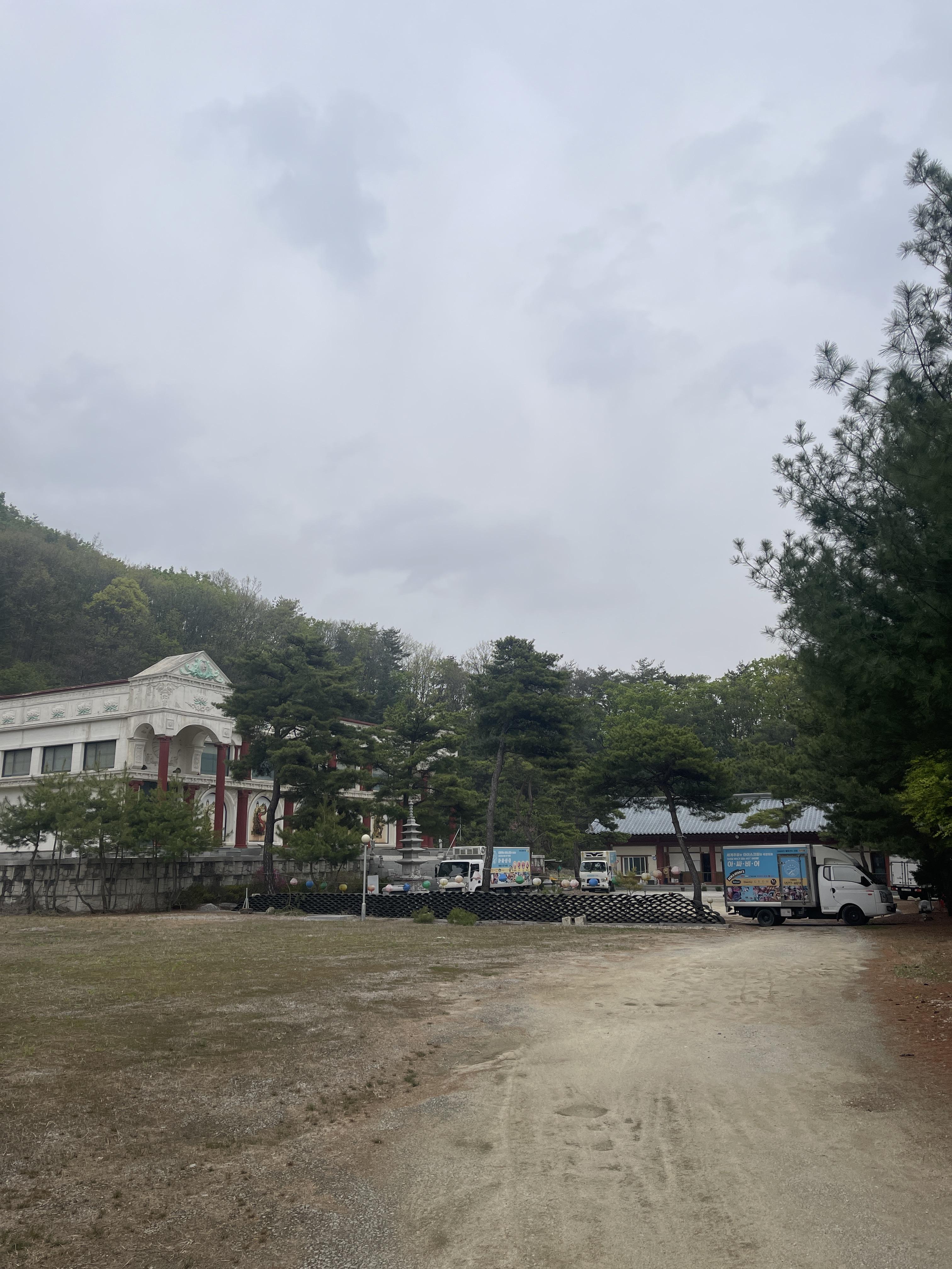 백화사 10
