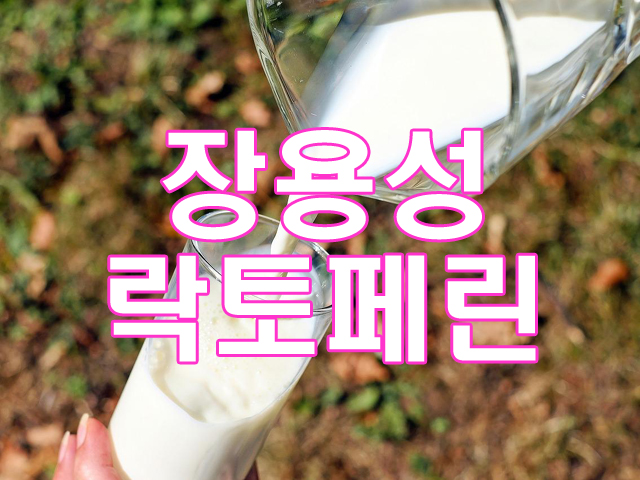 락토페린 다이어트 장용성 락토페린 가루 추천 부작용 효능 락토페린 다이어트 장용성 락토페린 가루 추천 부작용 효능