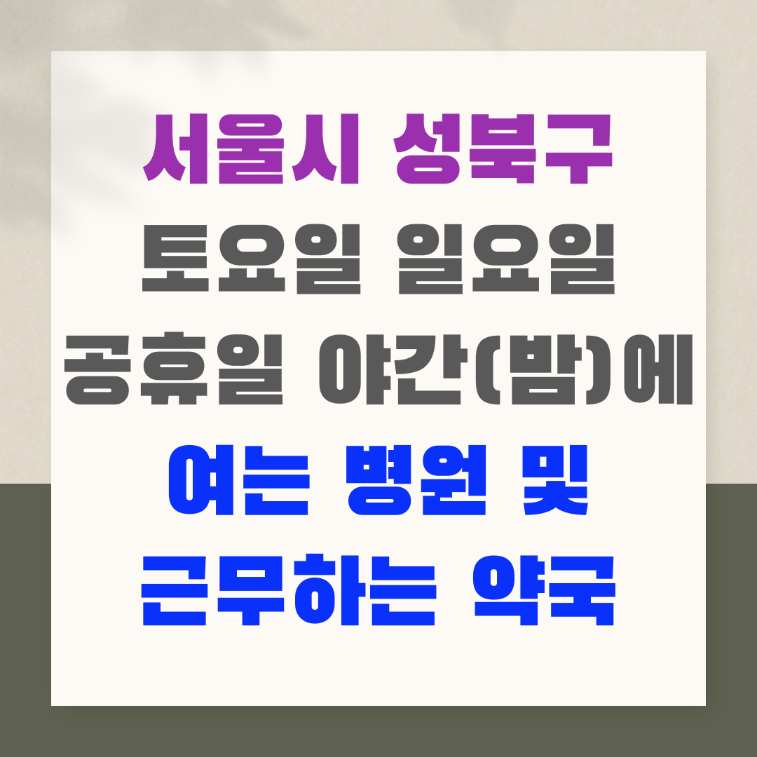 서울시 성북구 토요일 일요일 공휴일 야간(밤)에 여는 병원 및 근무하는 약국