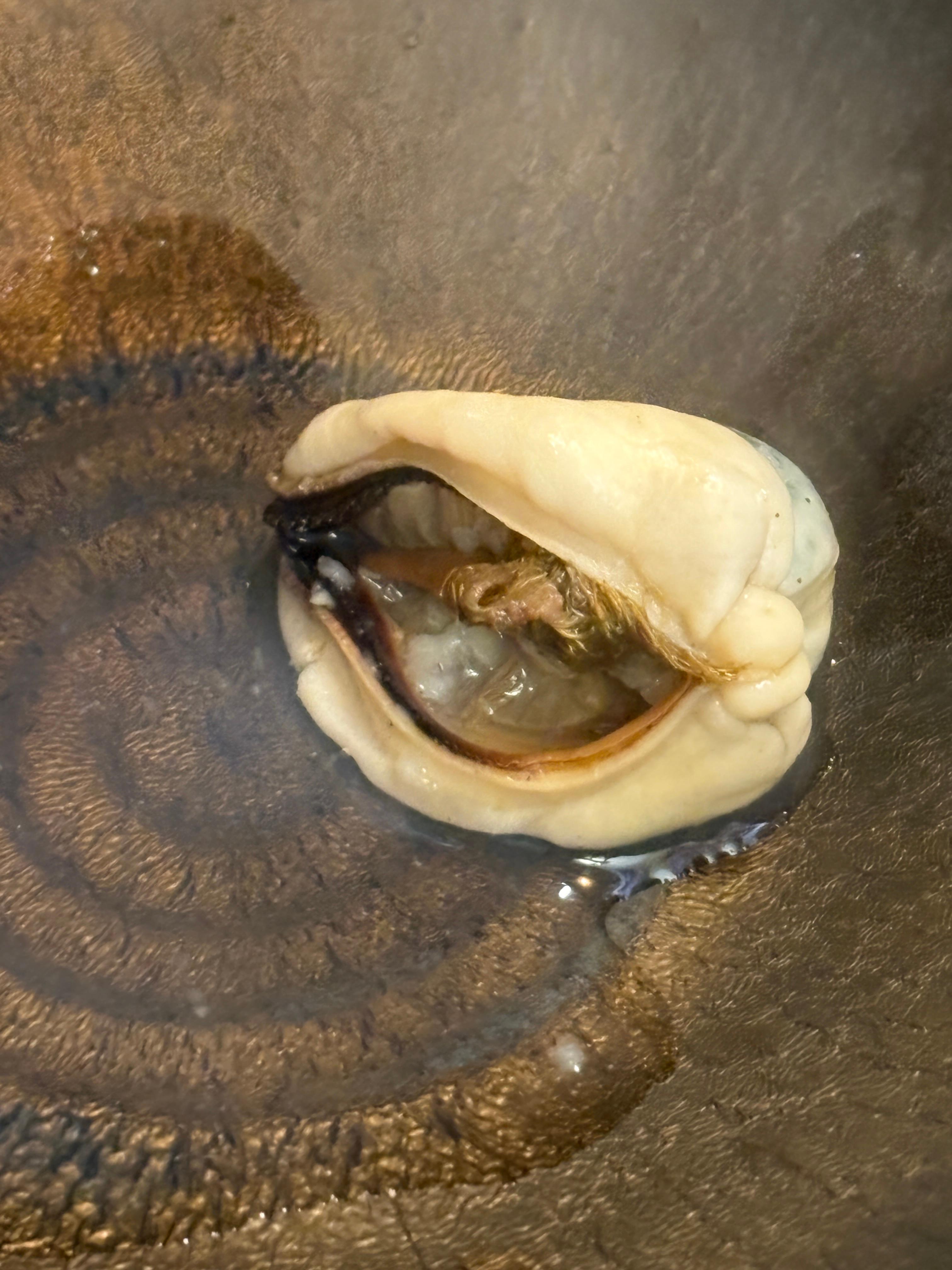 맛집곱창구이 이미지