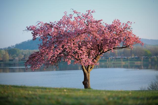 blog-image