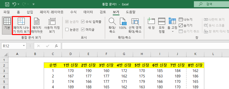 페이지 나누기 미리 보기 클릭