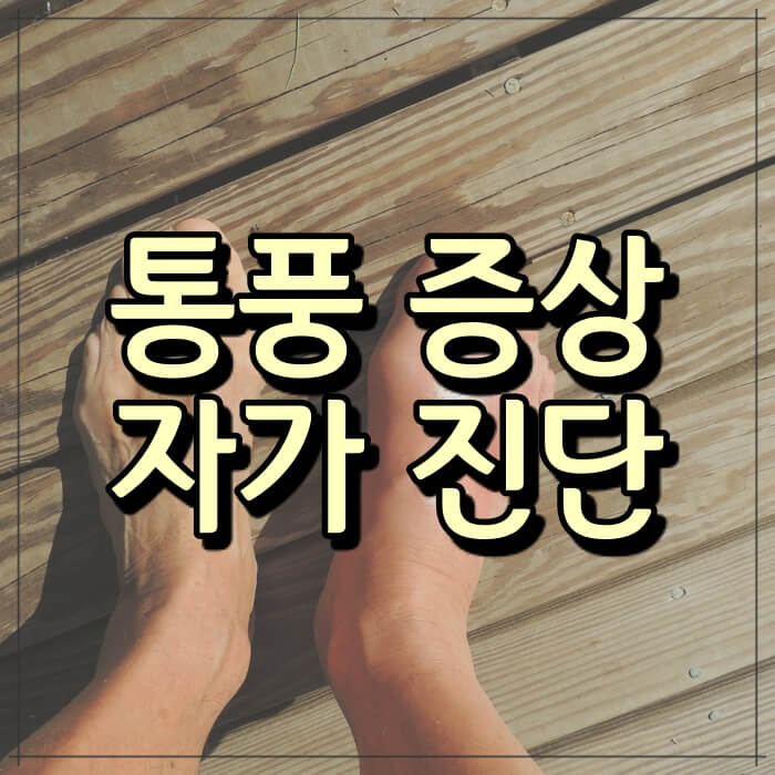  통풍 자가진단 및 초기 증상 ( 자가치료보다 요산관리 중심으로)