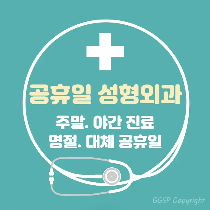  공휴일 24시간 병원 성형외과 | 대체공휴일 진료 당직병원 찾기