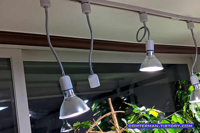 거실 레일조명 식물 LED 전구