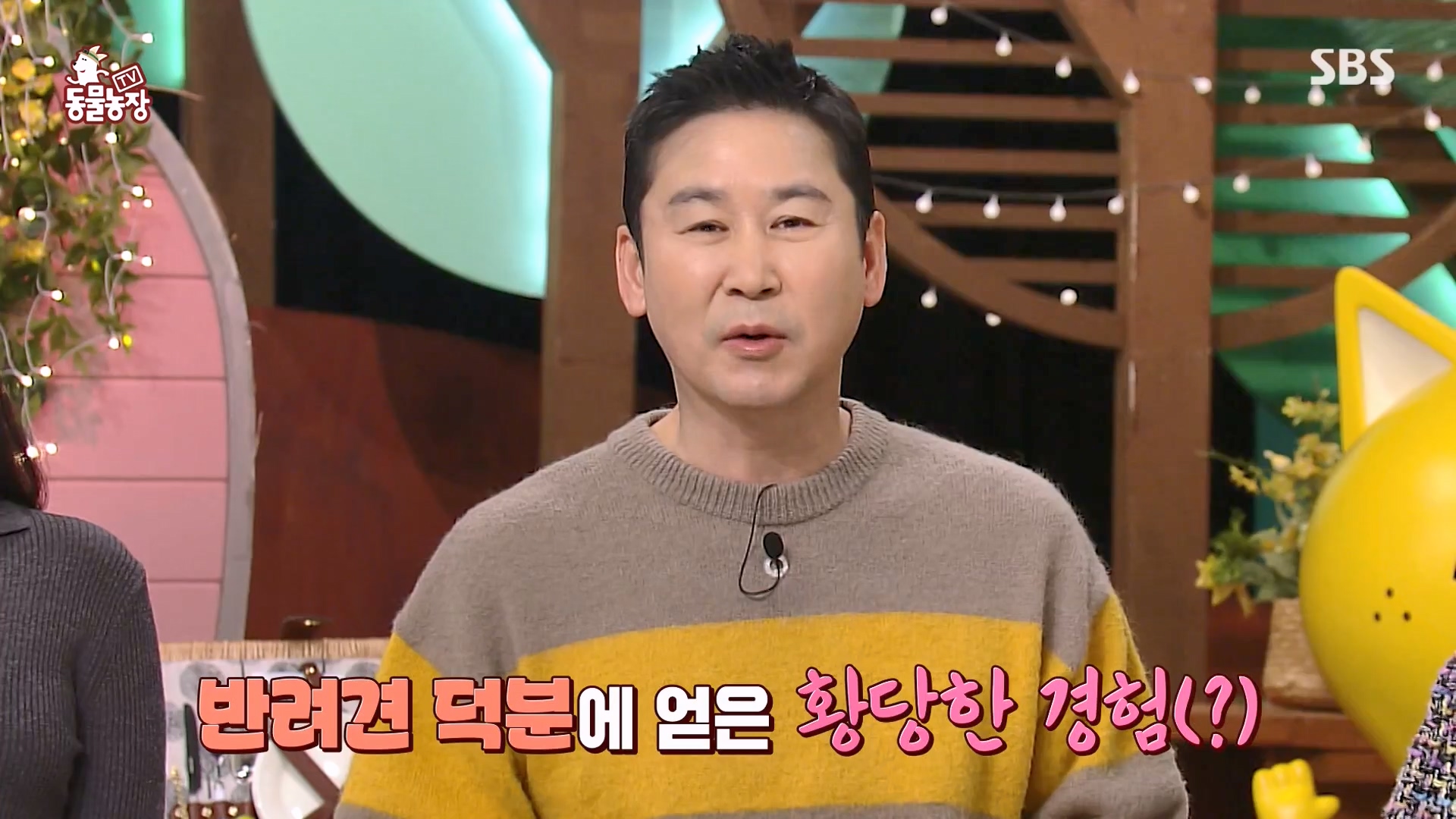 TV 동물농장.E1157.240204p-NEXT.mp4_20240204_164223.529.jpg