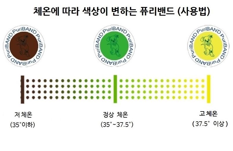  붙이는 체온계 :: 체온에 따라 색상이 변해요!
