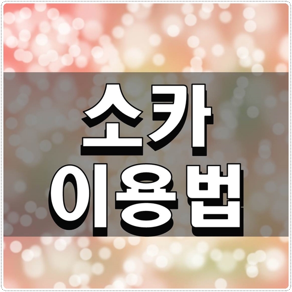  소카 이용법 간단하게 알아보자