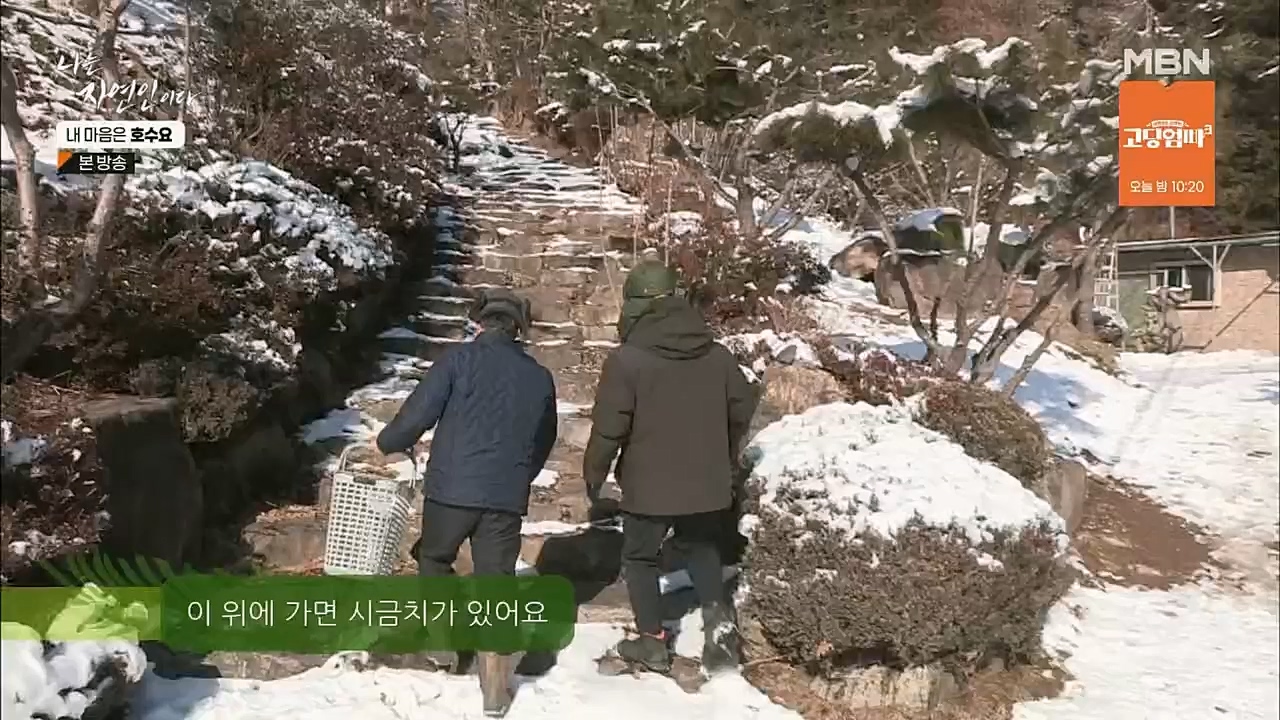 나는 자연인이다.E540.230209p.H264-F1RST.mp4_20230209_203724.912.jpg