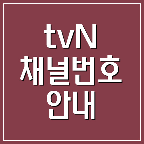 tvN 채널번호